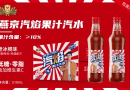 燕京汽焰果计汽水-老冰棍味510ml