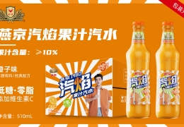 燕京汽焰果计汽水-橙子味510ml